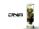 DNAembrion.jpg