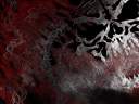 MOHBACKGROUNDD_!!!!.jpg