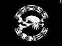 crossbones.jpg