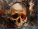 drz-vago-skull.jpg