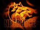 neo3.jpe