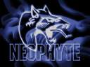 neo4.jpe