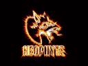 neophyte-fire.JPG